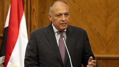 شكري: اتفقت مع وزير خارجية ألمانيا على البعد عن الحلول العسكرية للأزمات في المنطقة ..(فيديو)