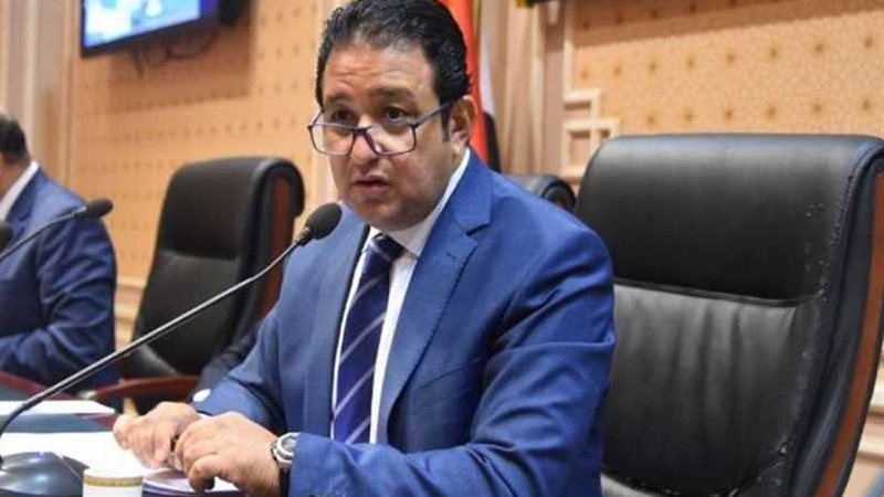 هانى إبراهيم مستشارا