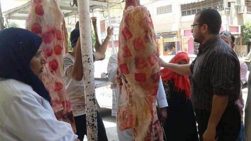 ضبط ٤٠٠ كيلو لحومًا