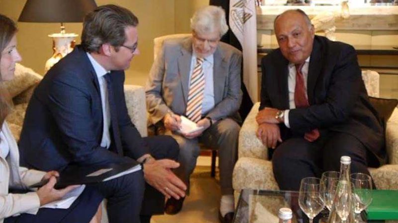 وزير الخارجية يلتقي