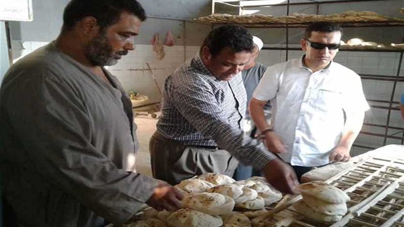 10 محاضر فى حملة