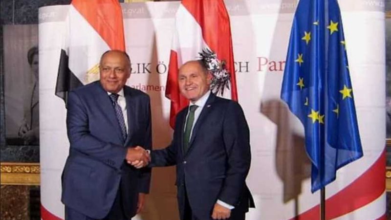 وزير الخارجية يلتقي