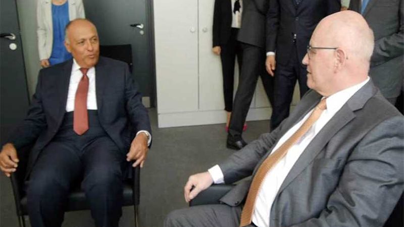 وزير الخارجية يلتقي