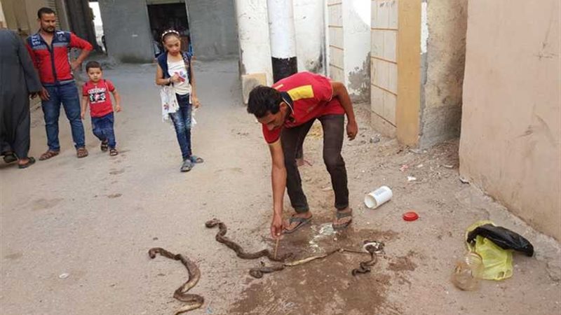 بوابة روزاليوسف تقتحم