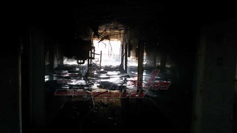 بالصور.. بوابة روزاليوسف