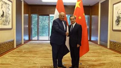 وزير الخارجية يبحث مع نظيره الصيني التطورات في الشرق الأوسط