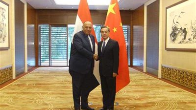 وزير الخارجية يعقد جلسة مباحثات مع نظيره الصيني في بكين