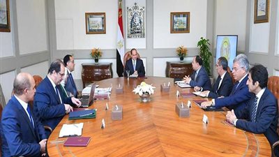 السيسى يؤكد أهمية المشروع القومي للتأمين الصحي الشامل للشعب المصرى