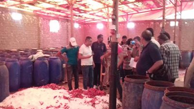 ضبط 194طن أغذية فاسدة بالبحيرة (صور)