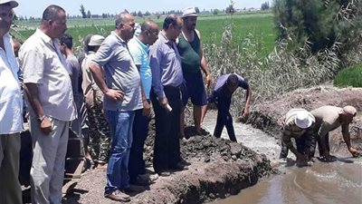 بعد اكتشاف استخدامها حيوانات نافقة.. إزالة مزرعة سمكية ببلقاس وسحب عينات لتحليلها