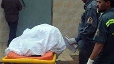 شقيق يذبح شقيقته ويقتل نجلها في المنيا