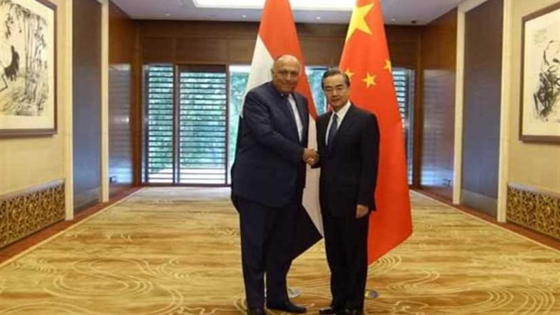 وزير الخارجية يبحث