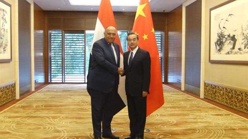 وزير الخارجية يعقد