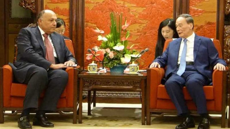 شكري يؤكد عمق العلاقات