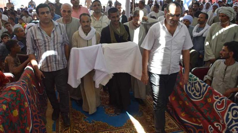 محافظ المنيا يشهد