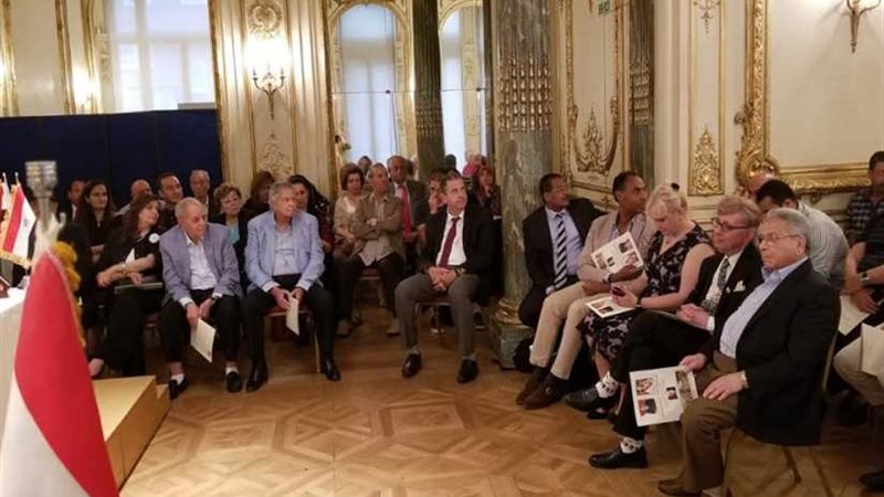 الفقي: مصر تسير على