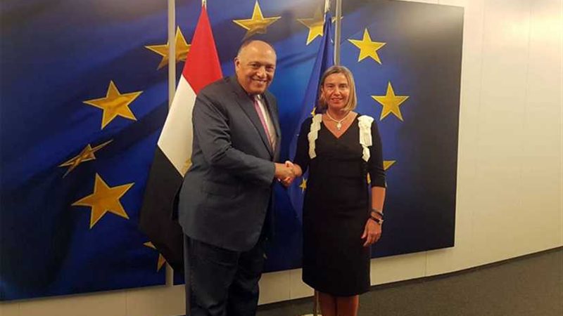 شكري يلتقي بممثلة