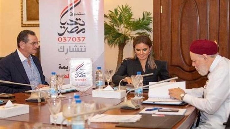 تنفيذية تحيا مصر