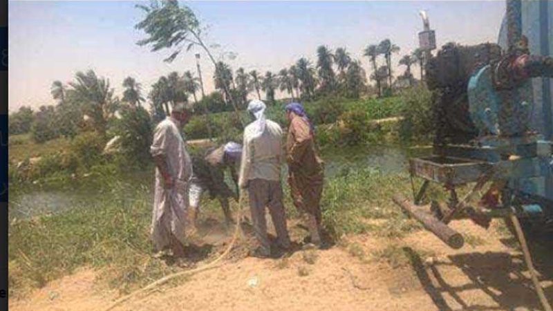 زراعة 200 شجرة على