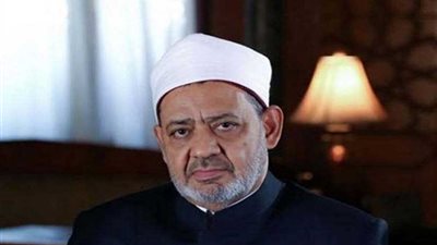 شيخ الأزهر يستقبل وزير الدولة البريطاني لشئون التنمية الدولية