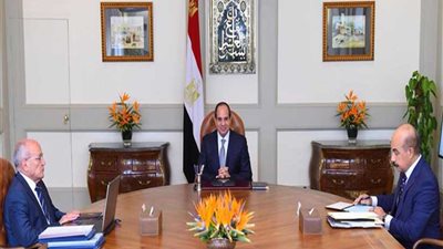 السيسي يؤكد أهمية تطوير مصانع الإنتاج الحربي لدعم الاقتصاد