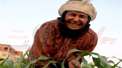 ضحكة الشقيانين..الفلاحة الشرقاوية