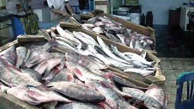 5 منافذ تسويقية لبيع أسماك المزارع السمكية بأحياء الإسماعيلية