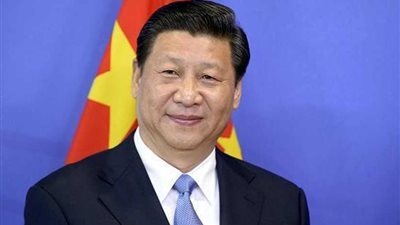 الرئيس الصيني: الإمارات نموذج مثالي للتنمية