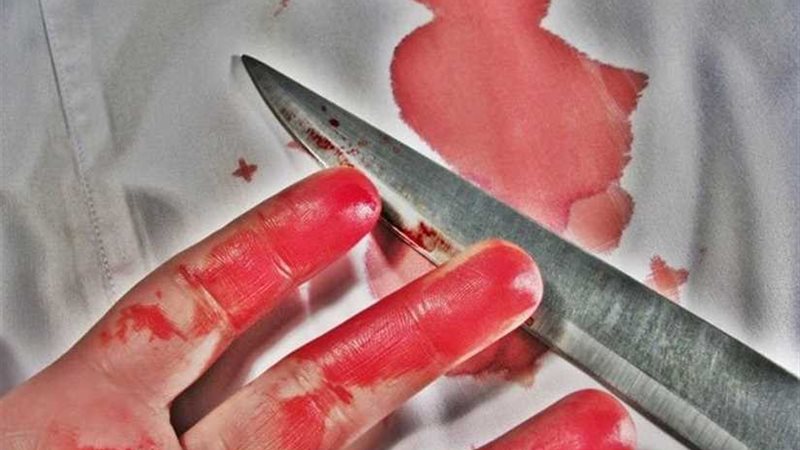 حكاية خادمة استولت