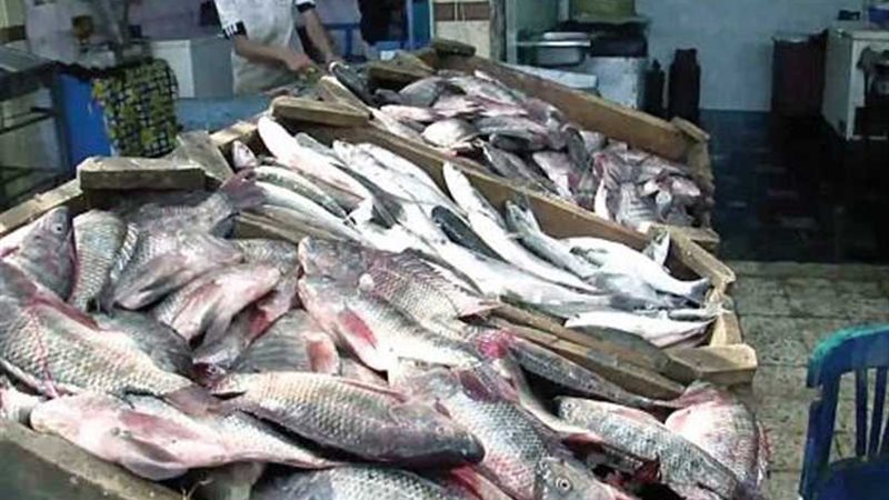 5 منافذ تسويقية لبيع