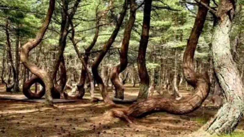 لا على البال ولا