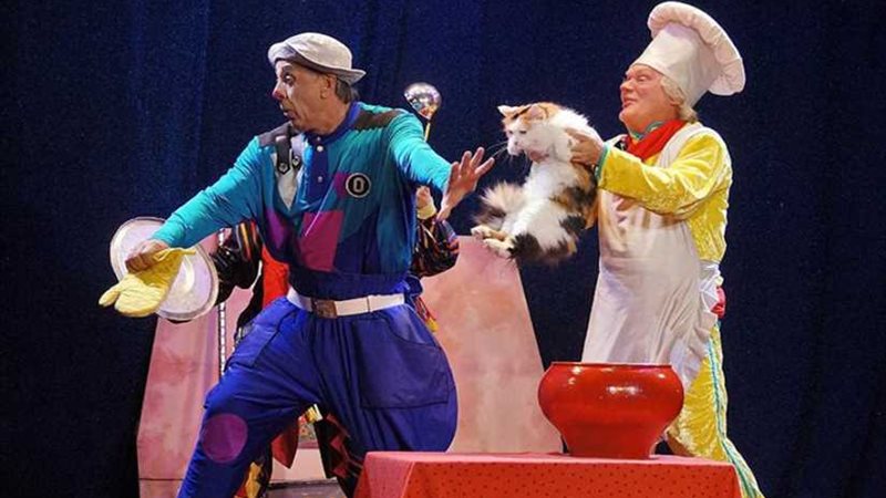 القطط تمثل على مسارح