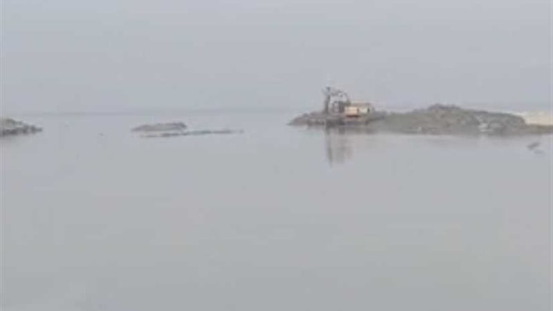 فيديو ..جهود الزراعة