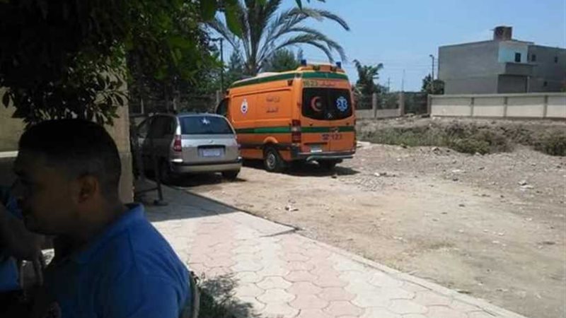 ثعابين «شبر بخوم»