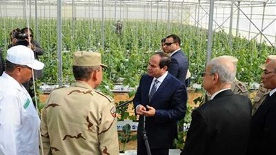 مصر الجمهورية والملكية في الميزان.. زراعياً