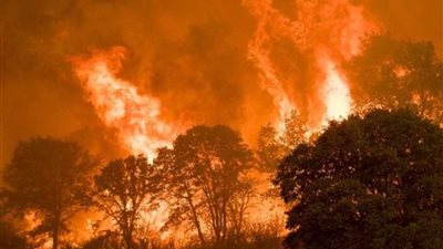 إعلان حالة الطواريء في مقاطعتين باليونان بسبب حرائق الغابات