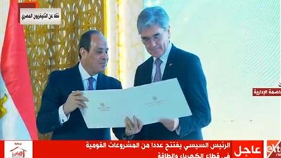 الرئيس السيسي يكرم المدير التنفيذي لشركة 
