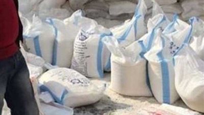 غلق مصنع ملح ومعمل مخللات بالدقهلية بعد ضبط أغذية فاسدة