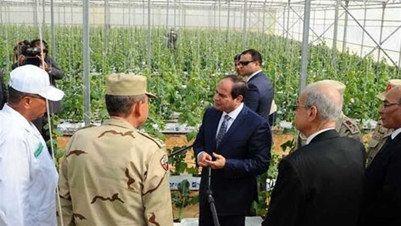 مصر الجمهورية والملكية