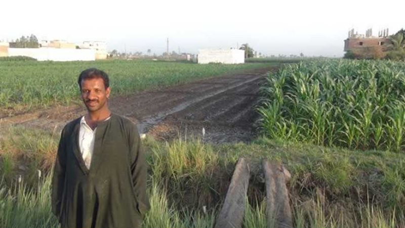 أبناء المنيا: ثورة