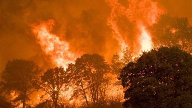 إعلان حالة الطواريء