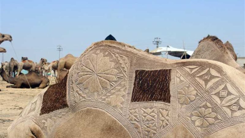 السعودية تحظر عمليات