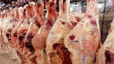 الزراعة: رقابة صارمة على اللحوم المباعة بالأسواق