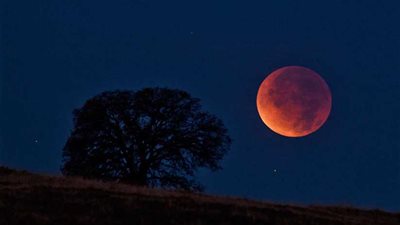 على دقات الطبول 