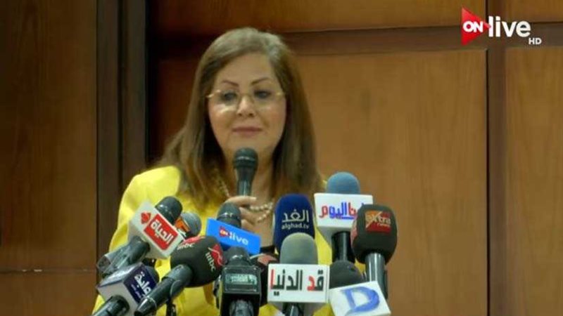 وزيرة التخطيط: الحكومة