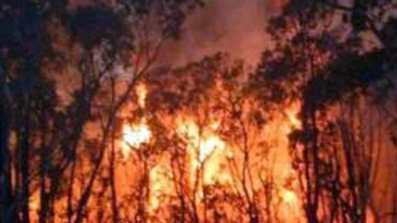 اتساع حرائق غابات