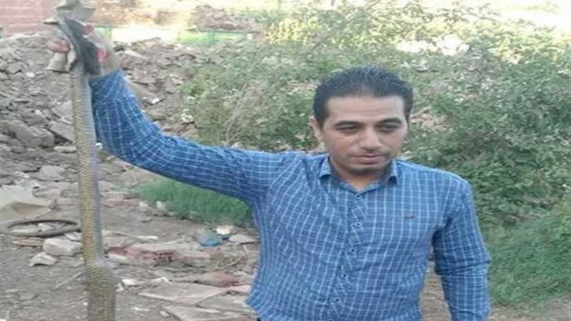 العثور على أكبر ثعبان