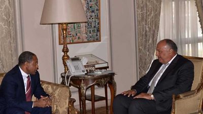 وزير الخارجية يستقبل الممثل المقيم ومدير مكتب برنامج الغذاء العالمي في مصر