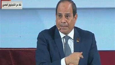 الرئيس السيسي: سنقف بقوة وقناعة أمام التطرف لحماية الدولة والدين