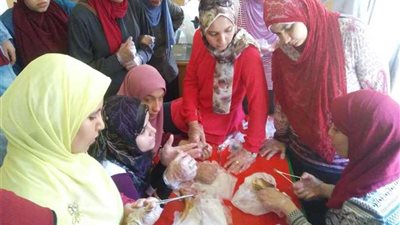 قصر ثقافة المنيا يختتم كورس التدريب على الإسعافات الأولية